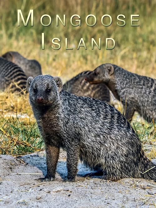 Mongoose Island