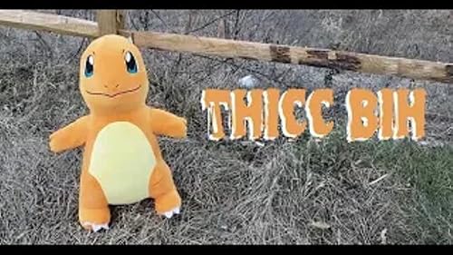 A Pokemon in the Maryland Wastelands