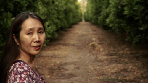 Wish