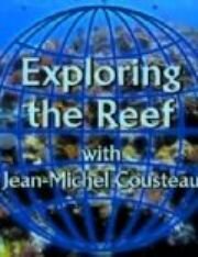 Exploring the Reef