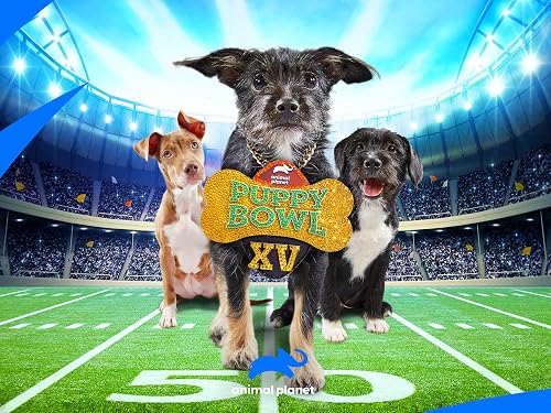 Puppy Bowl XV