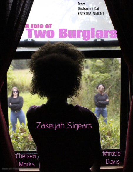 A Tale of Two Burglars