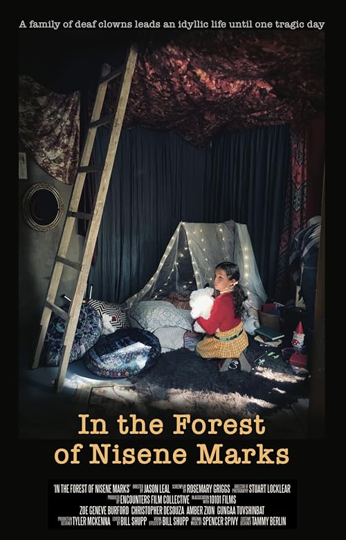 In the Forest of Nisene Marks