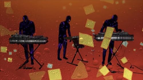 Animal Collective: My Girls