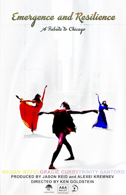 Emergence and Resilience - A Tribute to Chicago