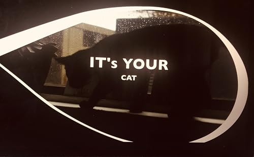 It's Your Cat