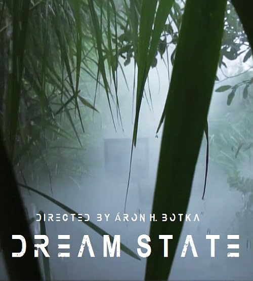 Broken Centrifuge: Dream State