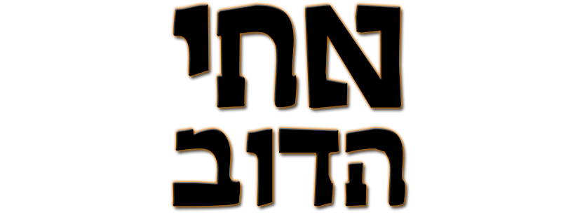 אחי הדוב