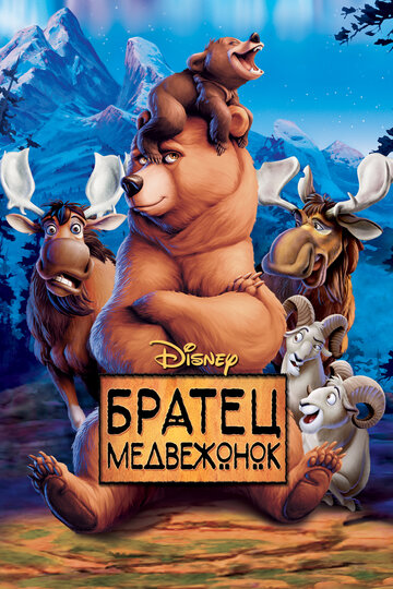 Bärenbrüder