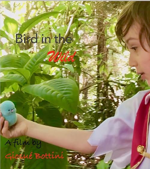 Bird in the Wild
