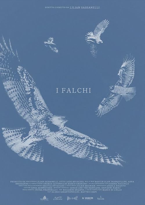 I falchi