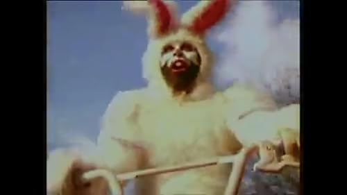 Animal Collective: Who Could Win A Rabbit