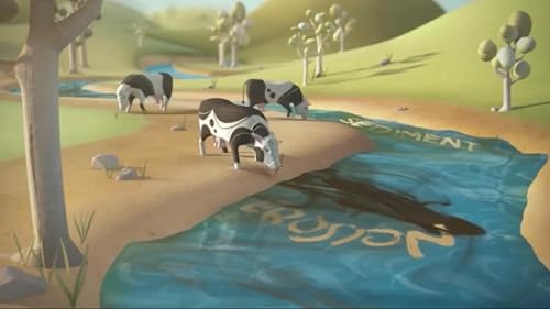 Tuggerah Lakes Estuary Environmental Animation