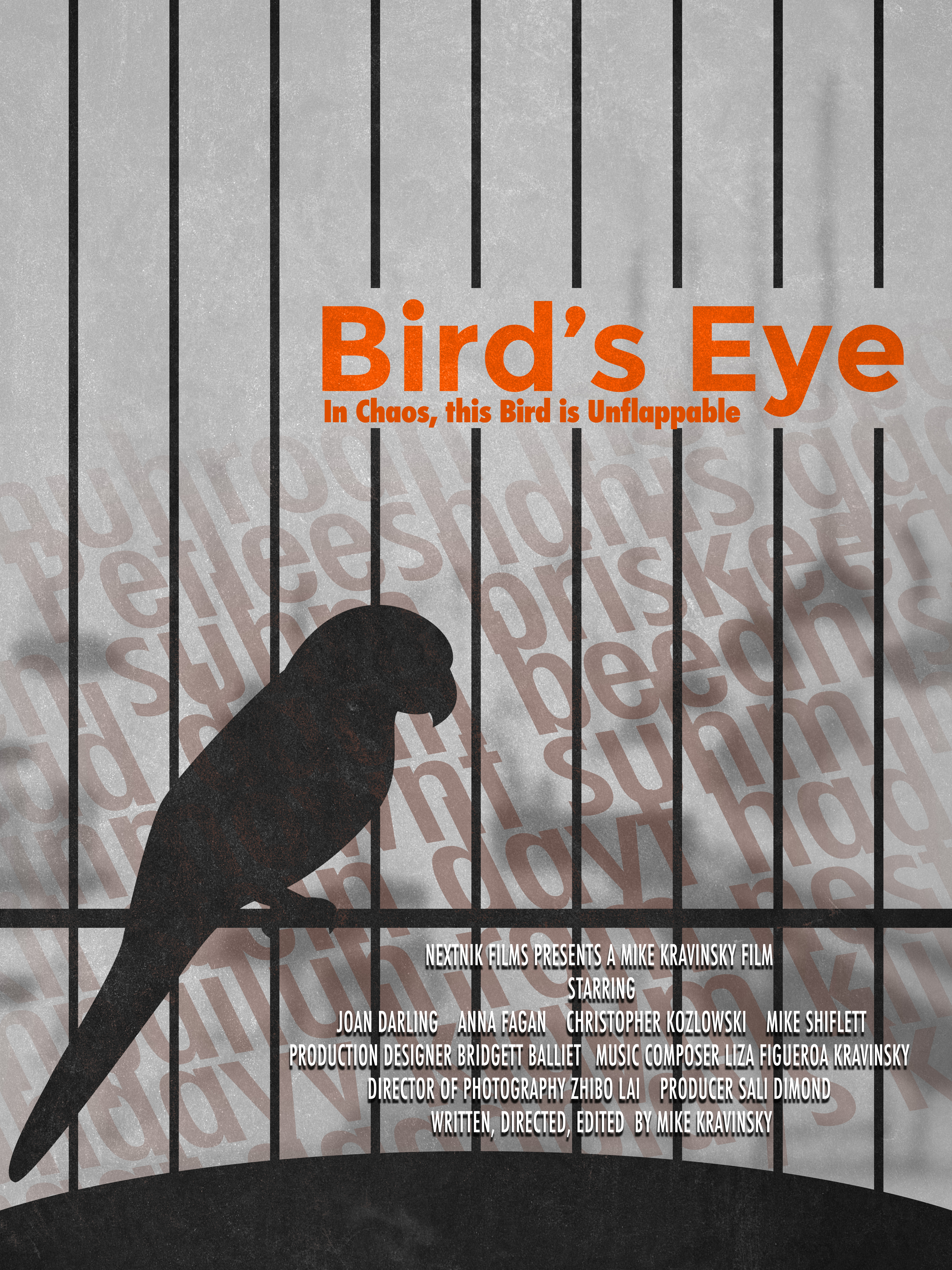 Bird's Eye