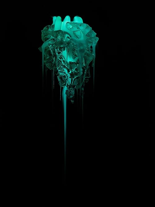 Work in Process - Thomas Feuerstein