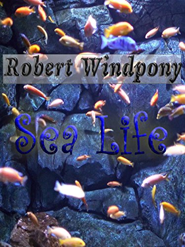Sea Life