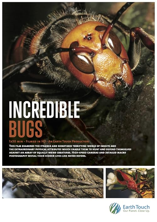 Incredible Insects