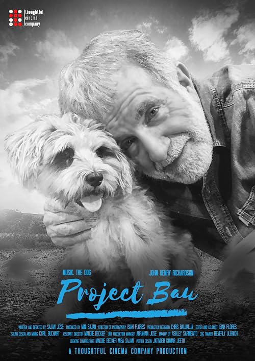 Project Bau