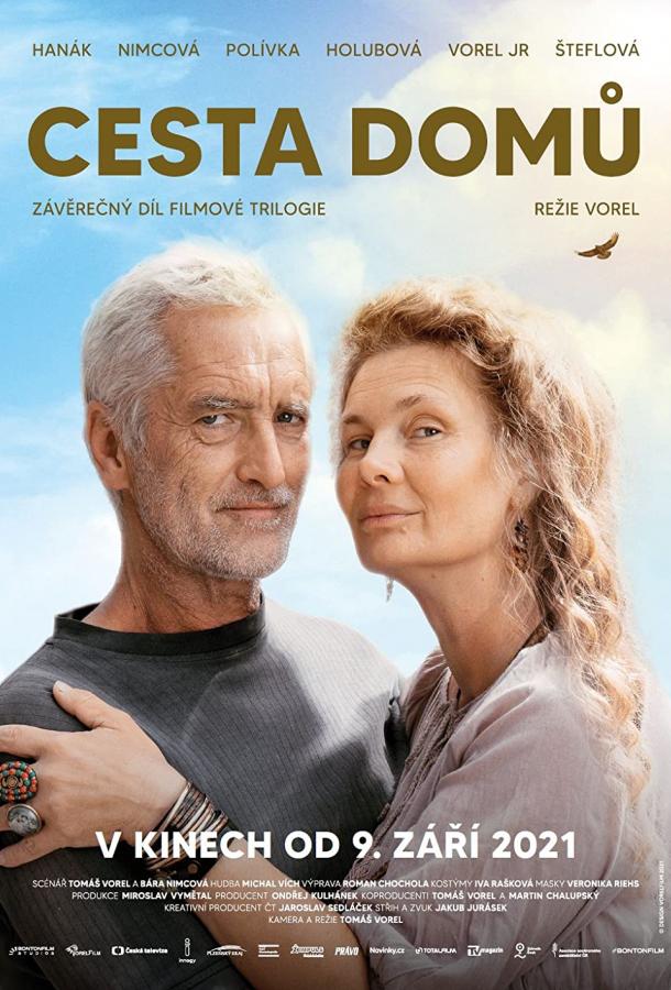 Cesta domu