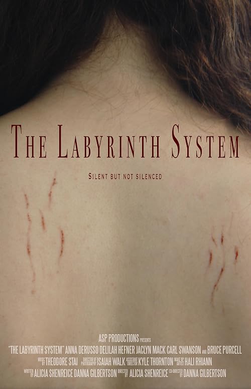 The Labyrinth System