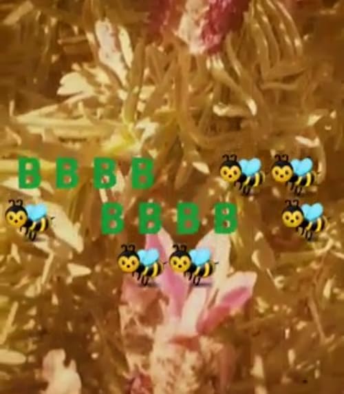 Beee