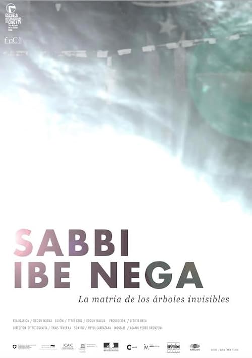 Sabbi Ibe Nega