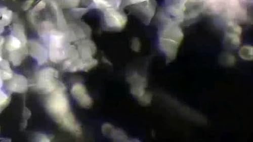 Light about Itself