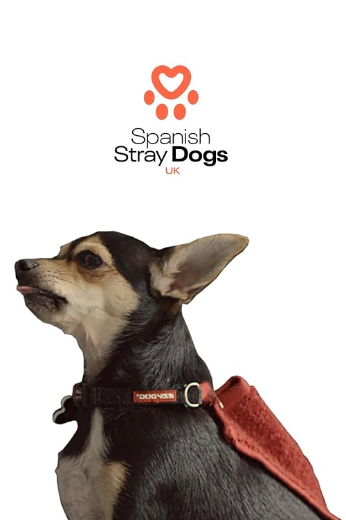 Spanish Stray Dogs