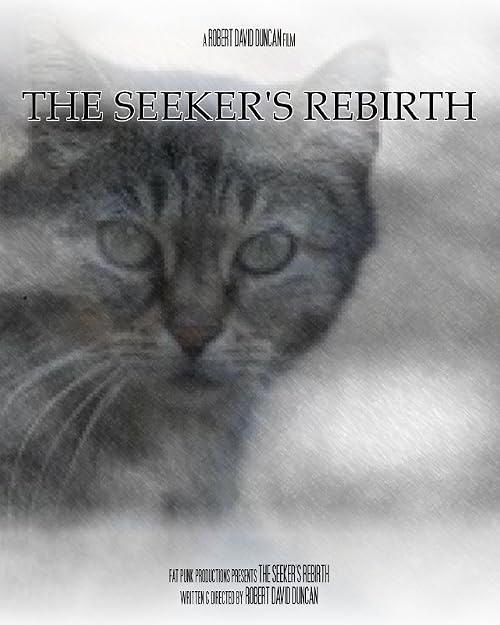 The Seeker's Rebirth