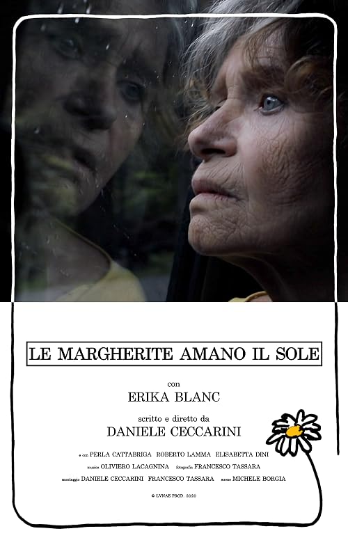 Le margherite amano il sole