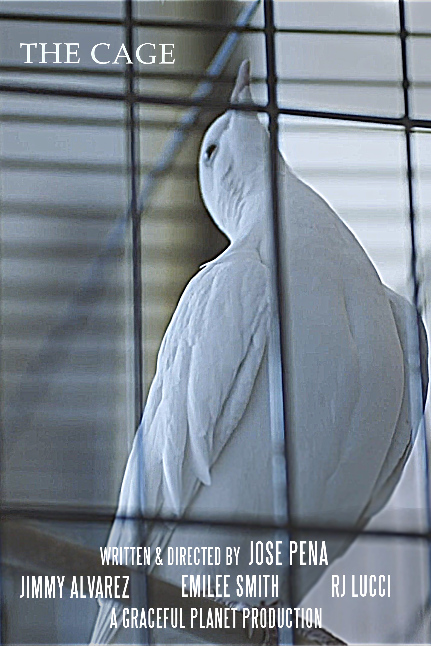 The Cage