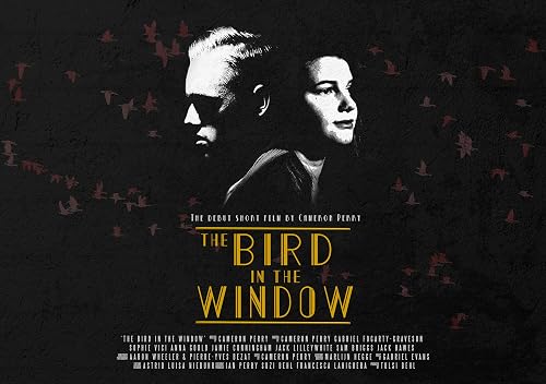 The Bird in the Window