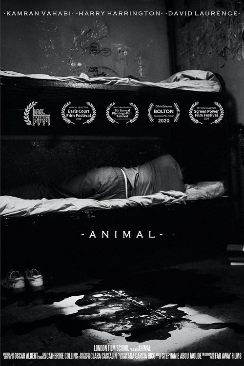 Animal