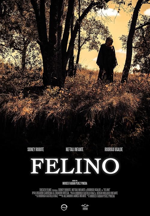 Felino