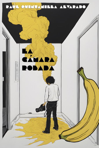 La Cámara Robada
