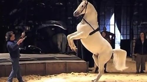 Une équitation sentimentale