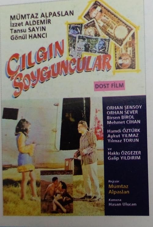 Çilgin soyguncular