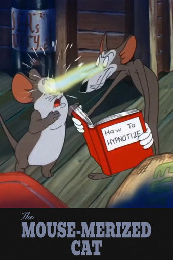 Загипнотизированный кот