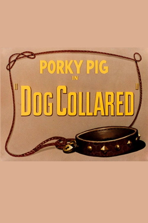 Dog Collared