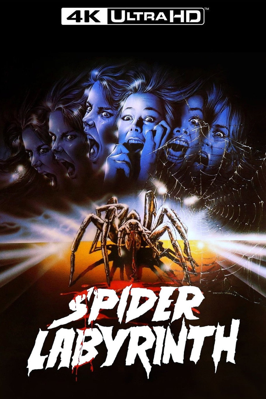 The Spider Labyrinth
