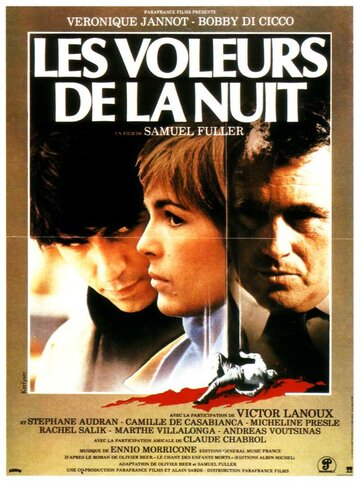 Les voleurs de la nuit