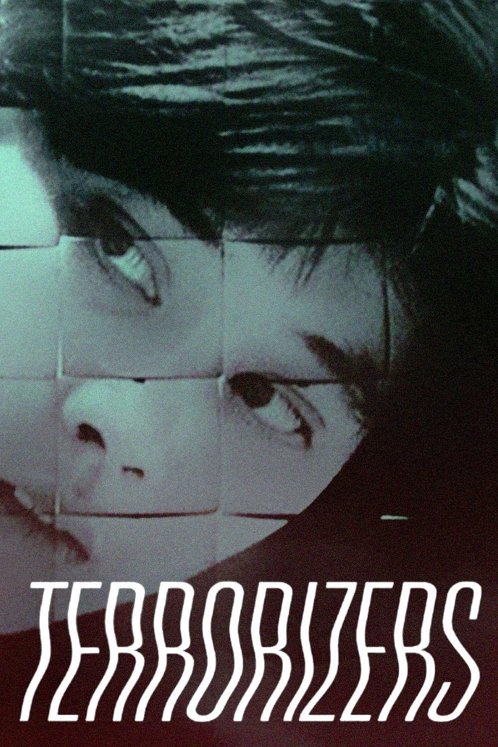 Terrorizers