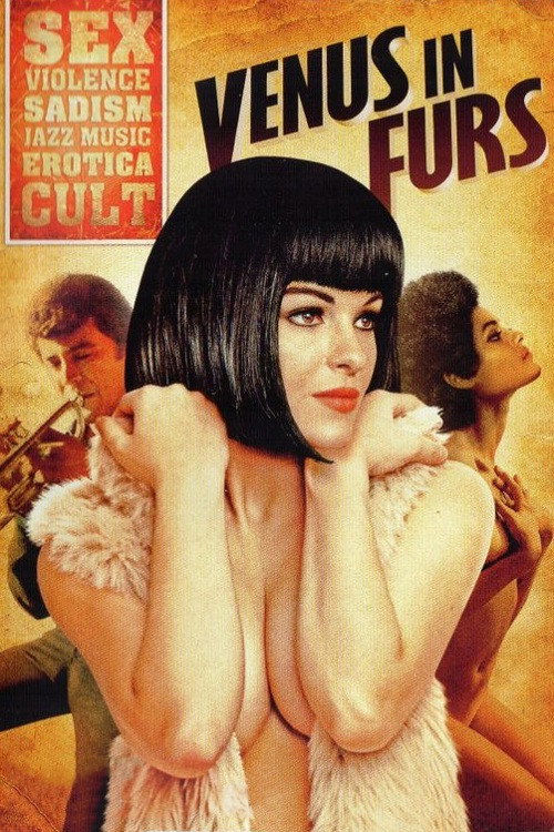 Venus im Pelz