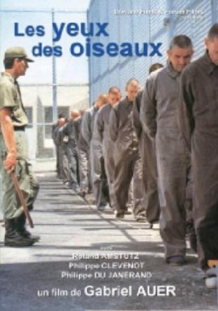 Les yeux des oiseaux