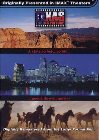 Texas: The Big Picture