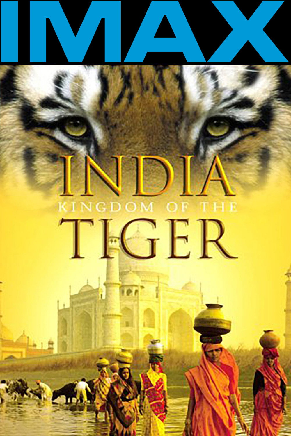Indien - Königreich der Tiger