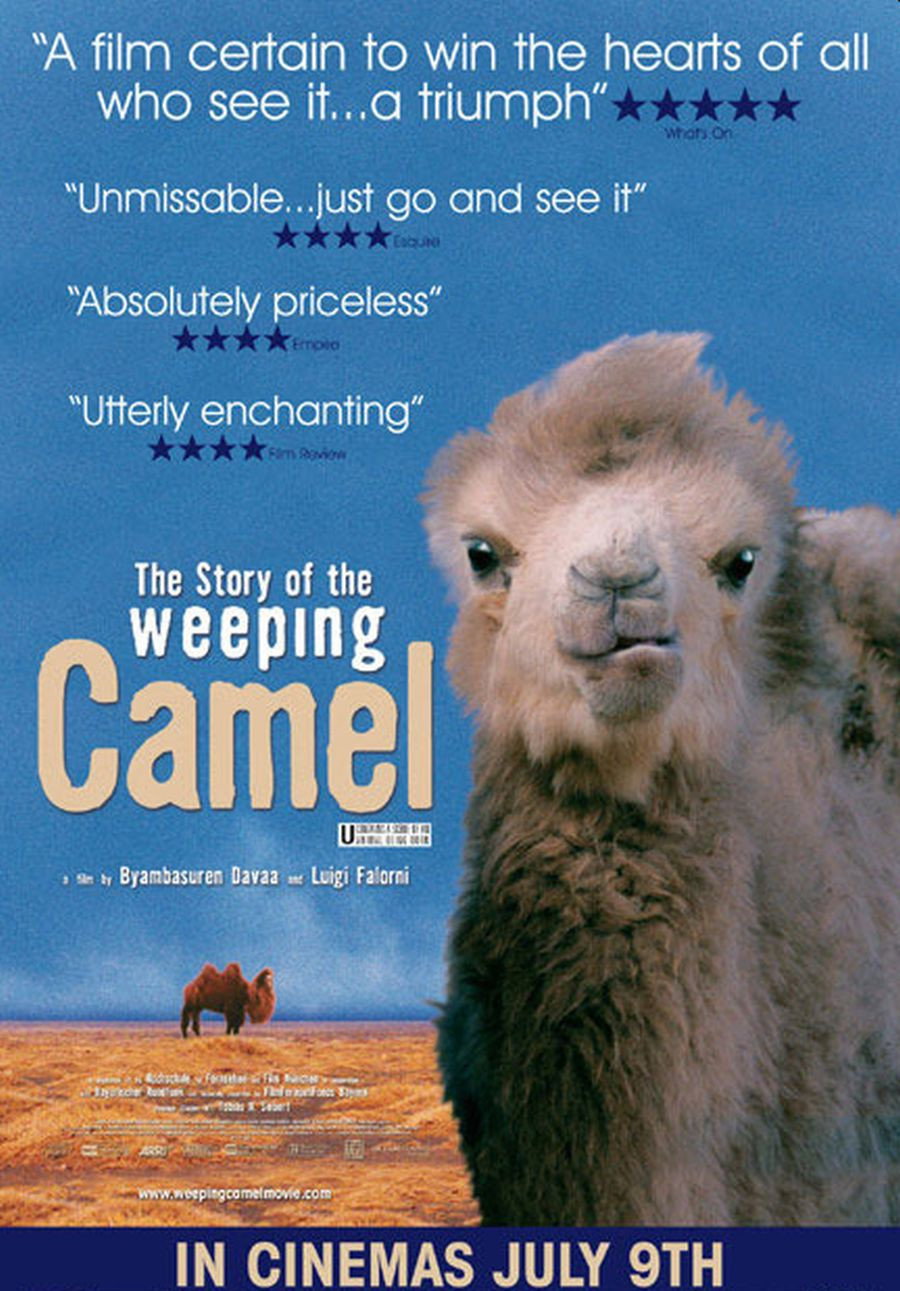 The Story of the Weeping Camel