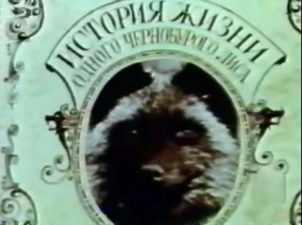 Домино
