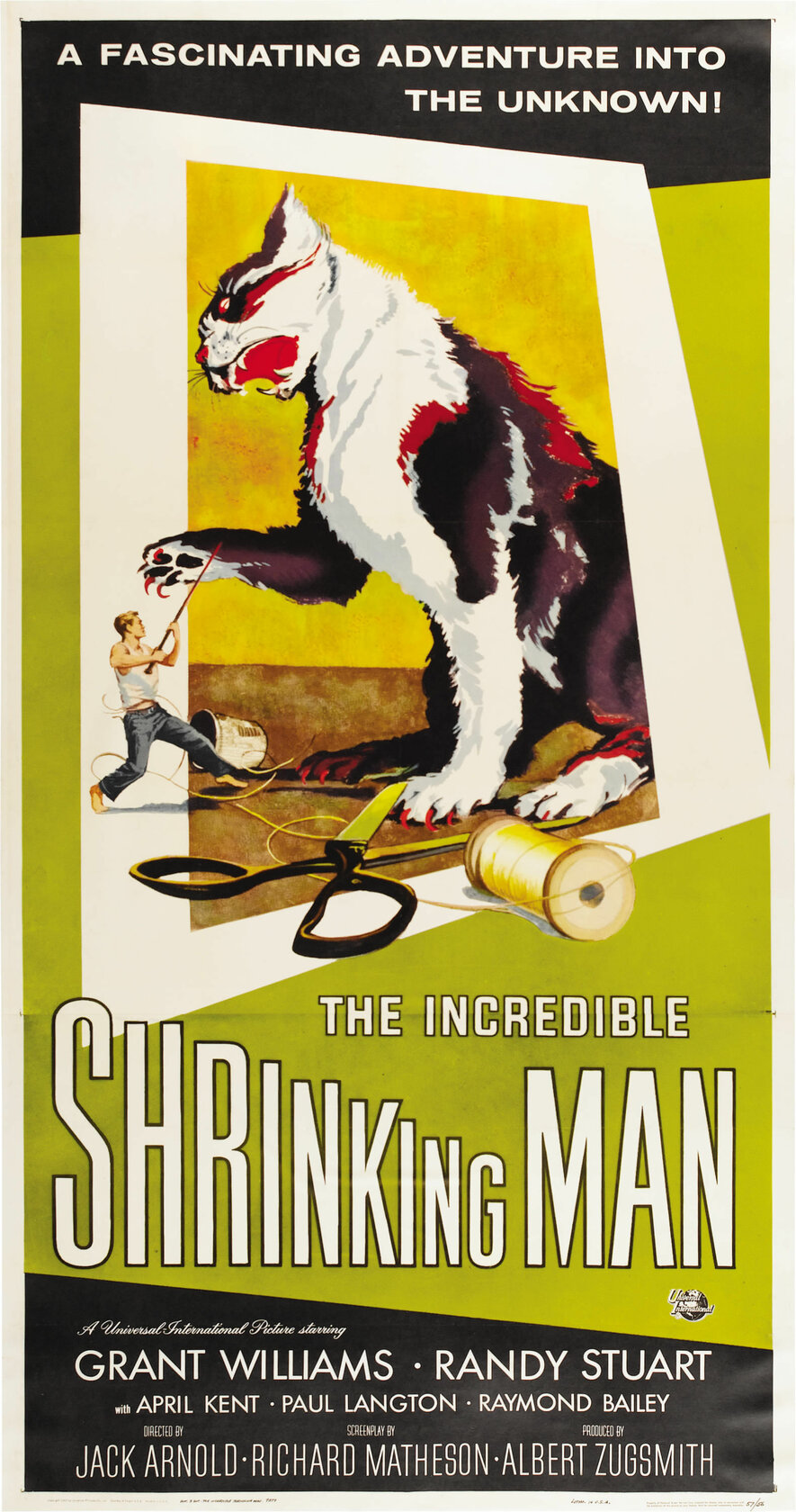 The Incredible Shrinking Man