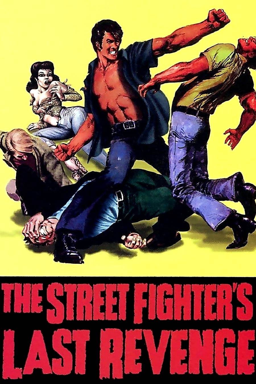 The Street Fighter's Last Revenge